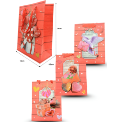 bolsa de regalo 24x18x8.5cm C/12 D2806