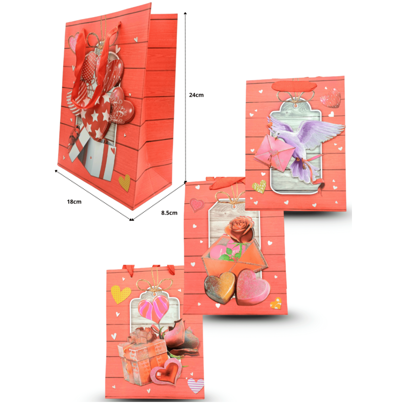 bolsa de regalo 24x18x8.5cm C/12 D2806