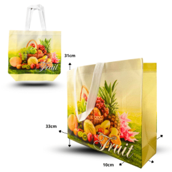 bolsa ecológica plastificada 33x27x10 CM C/12 D3141