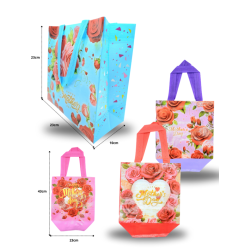 bolsa plastificada surtido de diseños 23x23x8cm C/12 DG24-A1 o R241Q-3 o V32 o XL4-22 o g-21