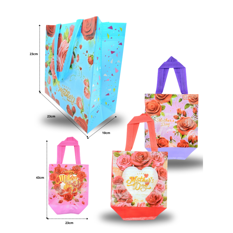 bolsa plastificada surtido de diseños 23x23x8cm C/12 DG24-A1 o R241Q-3 o V32 o XL4-22 o g-21
