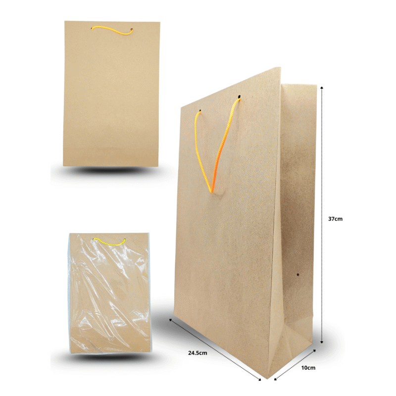 bolsa grande kraft 25cmx37cmx10cm C/12 CRS TRS