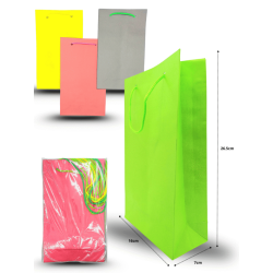 bolsa chica color 16cmx26.5cmx7cm C/12 CRS TRS