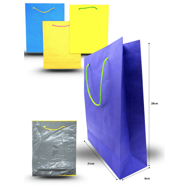 bolsa mediana color 21cmx28cmx8cm C/12 CRS TRS