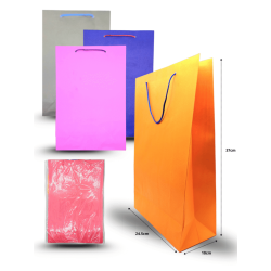 bolsa grande color 24.5cmx37cmx10cm C/12 CRS TRS