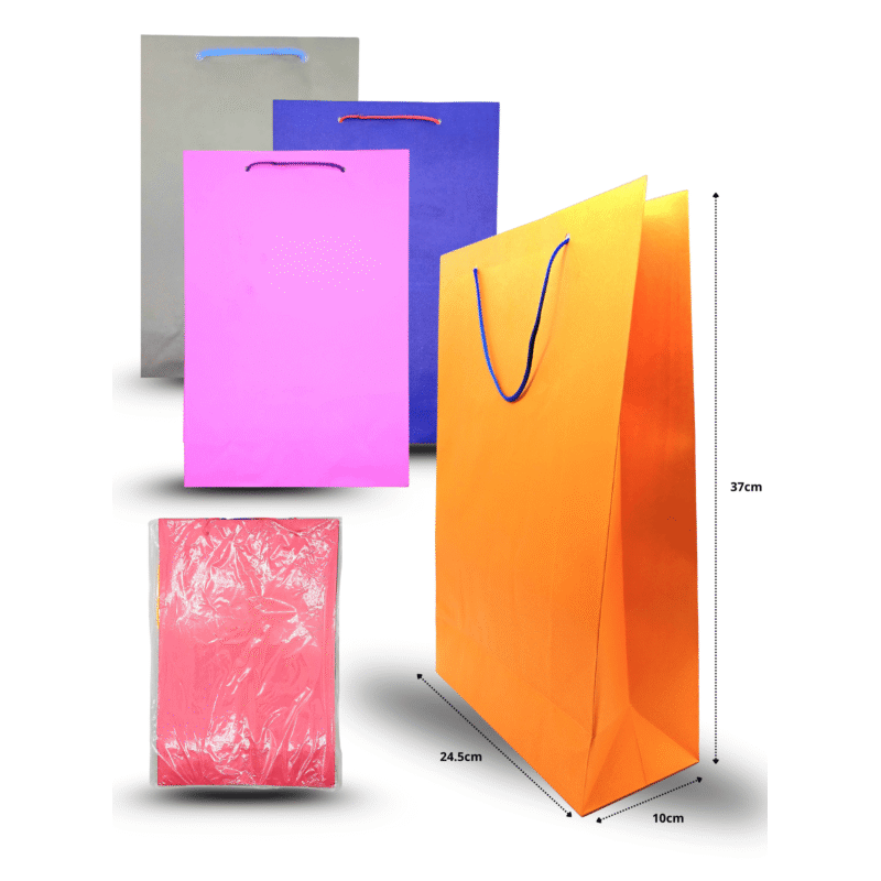 bolsa grande color 24.5cmx37cmx10cm C/12 CRS TRS